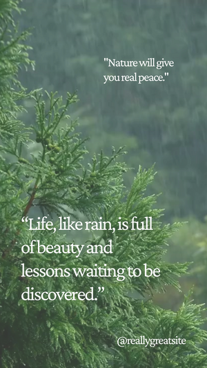 MagSafe Silikon Hülle: Magnetischer Schutz & Perfekte Passform - RU TechGear